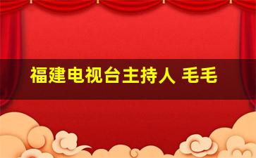 福建电视台主持人 毛毛